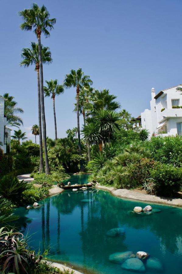 Exceptional Beachfront Complex With Pool In Costalita, Appartement